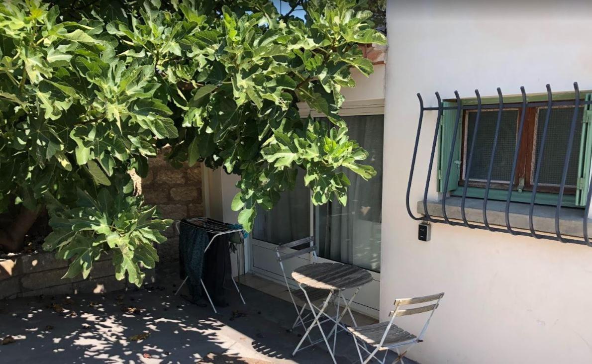 Le Nid Castries - Charmant Logement Complet Et Equipe Centre Castries Proche Montpellier Экстерьер фото